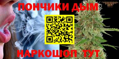 МДПВ Будённовск