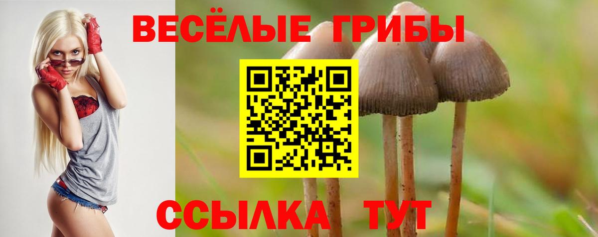 Галлюциногенные грибы MAGIC MUSHROOMS  Псилоцибиновые грибы Magic Shrooms  Вход с VPN  Киржач 